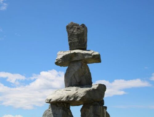 Race-based policies are always a bad idea