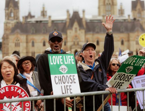 29th Annual March for Life