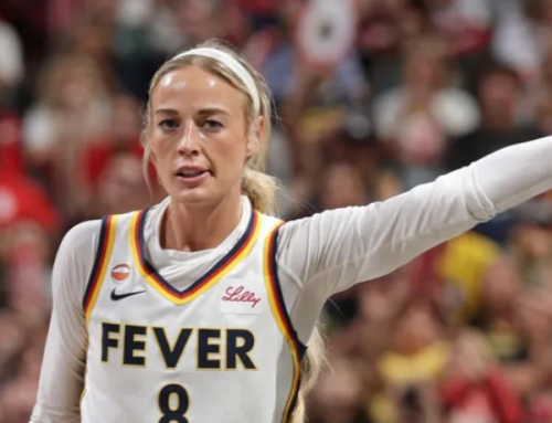 What is a WNBA?